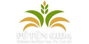 Pütün Gıda